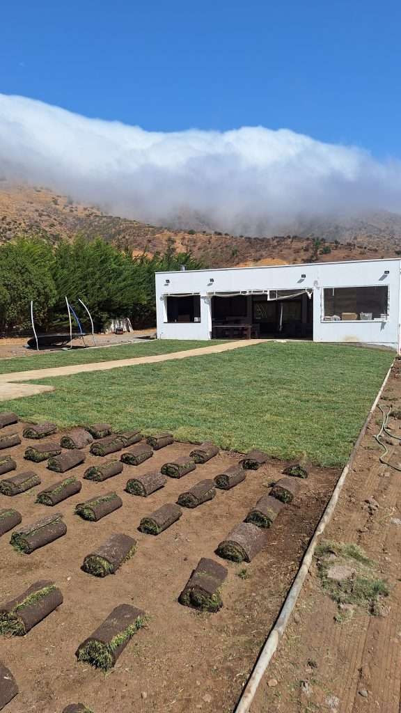 Instalación de pasto en Padre Hurtado