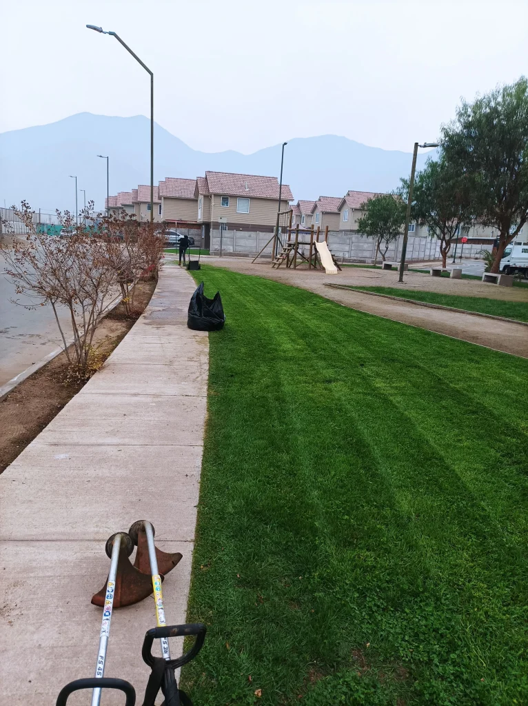 RECUPERACIÓN DE JARDINES mantencion lampa (2)